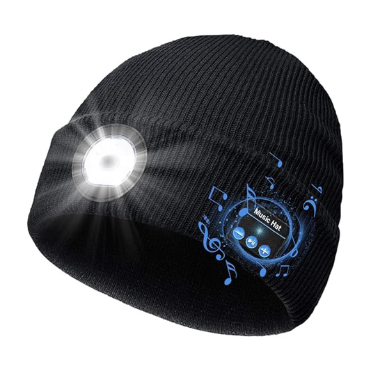 Alpine Audio Slope Companion