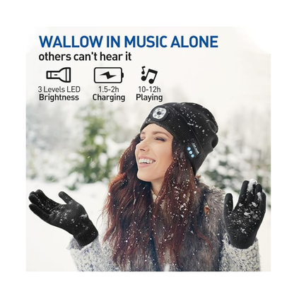 Alpine Audio Slope Companion