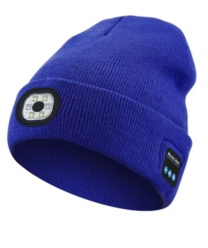 Alpine Audio Slope Companion