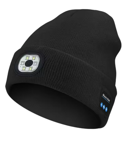 Alpine Audio Slope Companion